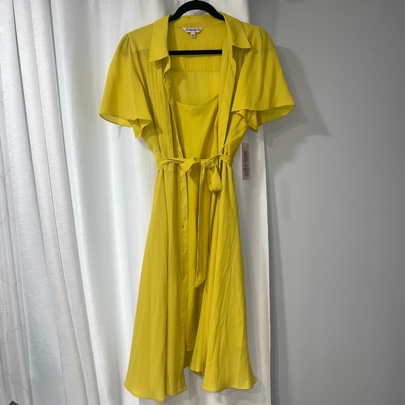 NWT Lime Green Dress - Picture 1 of 5